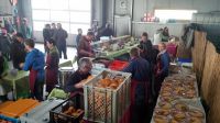 img_20150329_123137