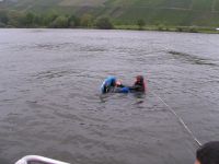 2015_mehring_mosel_20