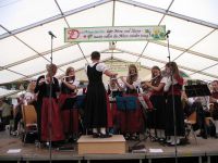2015_mehring_festzelt_16